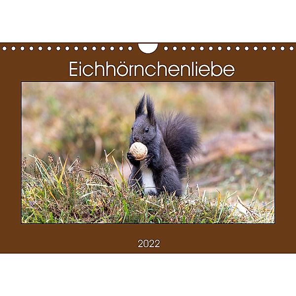 Eichhörnchenliebe (Wandkalender 2022 DIN A4 quer), Teresa Bauer