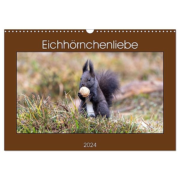 Eichhörnchenliebe (Wandkalender 2024 DIN A3 quer), CALVENDO Monatskalender, Teresa Bauer