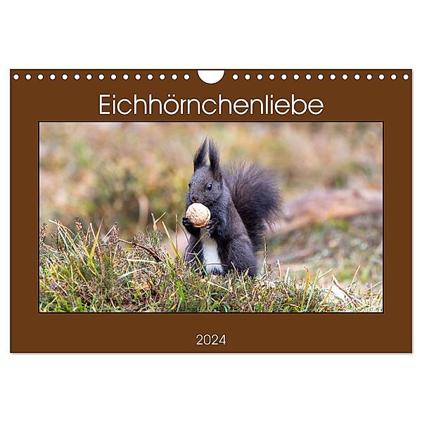 Eichhörnchenliebe (Wandkalender 2024 DIN A4 quer), CALVENDO Monatskalender, Teresa Bauer