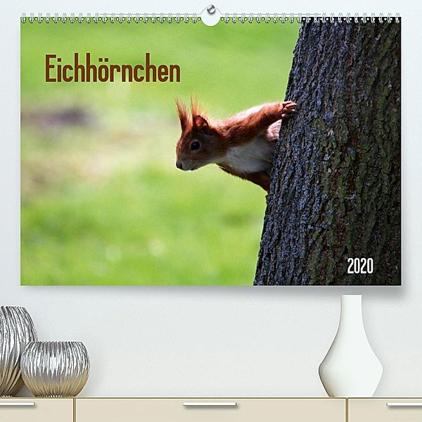 Eichhörnchen(Premium, hochwertiger DIN A2 Wandkalender 2020, Kunstdruck in Hochglanz)