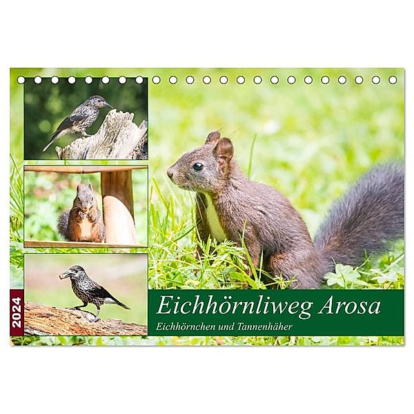 Eichhörnliweg Arosa - Eichhörnchen und Tannenhäher (Tischkalender 2024 DIN A5 quer), CALVENDO Monatskalender, Stefanie und Philipp Kellmann