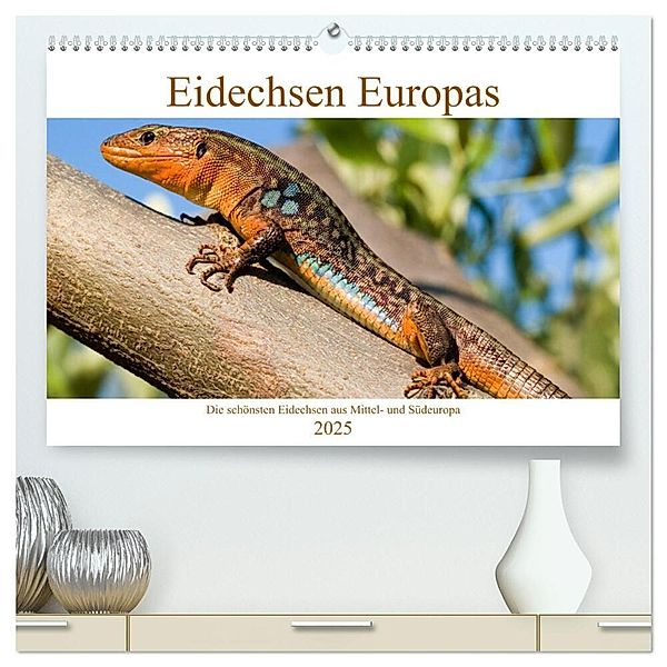 Eidechsen Europas (hochwertiger Premium Wandkalender 2025 DIN A2 quer), Kunstdruck in Hochglanz, Calvendo, Wolfgang Simlinger
