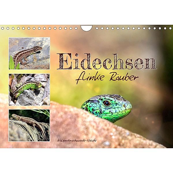 Eidechsen, flinke Räuber (Wandkalender 2023 DIN A4 quer), Sabine Löwer