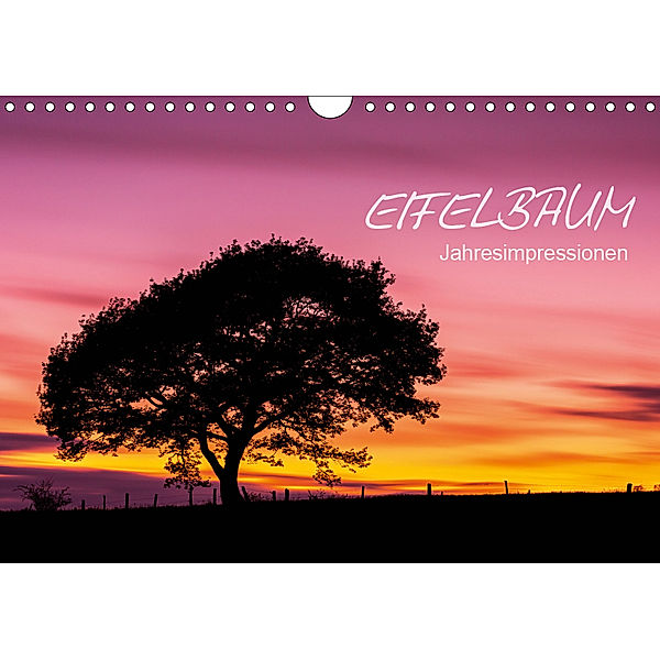Eifelbaum - Jahresimpressionen (Wandkalender 2019 DIN A4 quer), rclassen