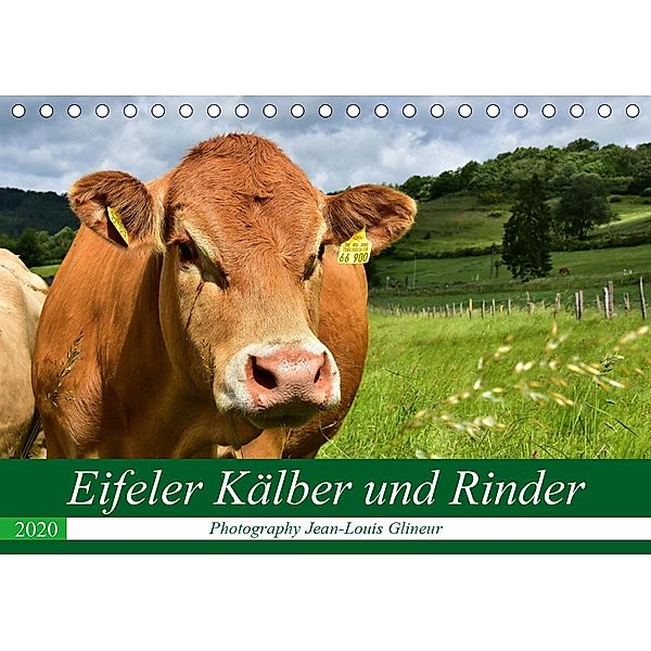 Eifeler Kälber und Rinder (Tischkalender 2020 DIN A5 quer), Jean-Louis Glineur