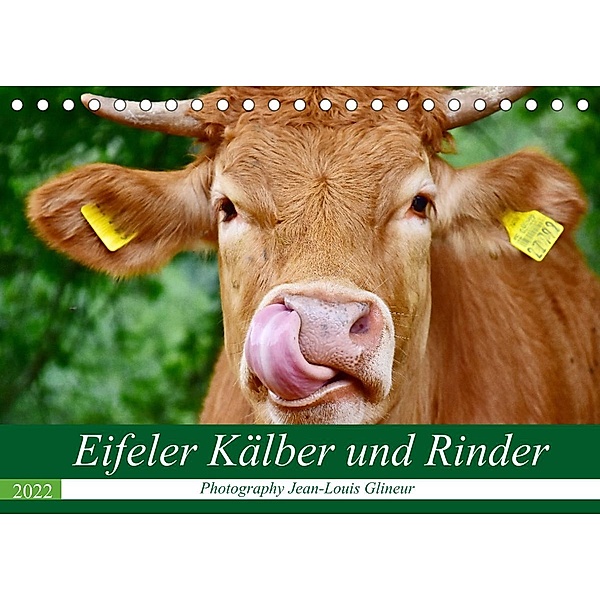 Eifeler Kälber und Rinder (Tischkalender 2022 DIN A5 quer), Jean-Louis Glineur