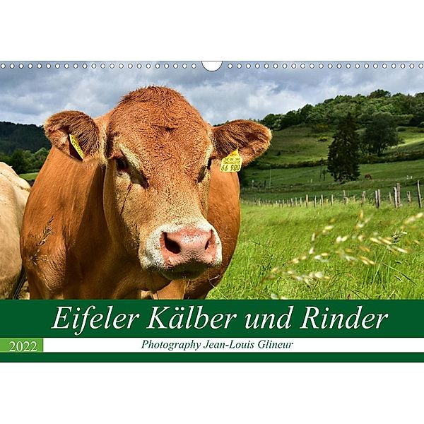 Eifeler Kälber und Rinder (Wandkalender 2022 DIN A3 quer), Jean-Louis Glineur