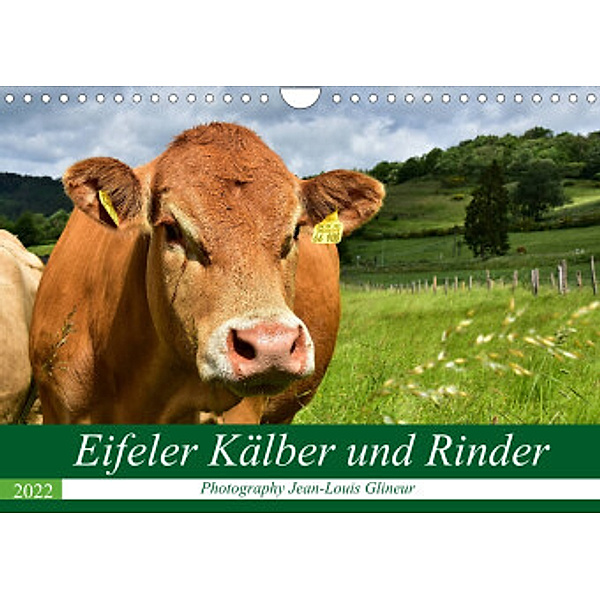 Eifeler Kälber und Rinder (Wandkalender 2022 DIN A4 quer), Jean-Louis Glineur