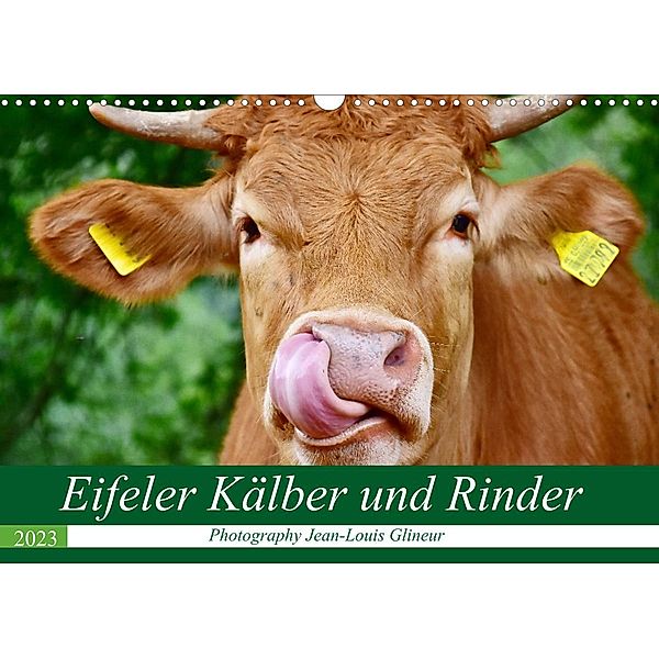 Eifeler Kälber und Rinder (Wandkalender 2023 DIN A3 quer), Jean-Louis Glineur