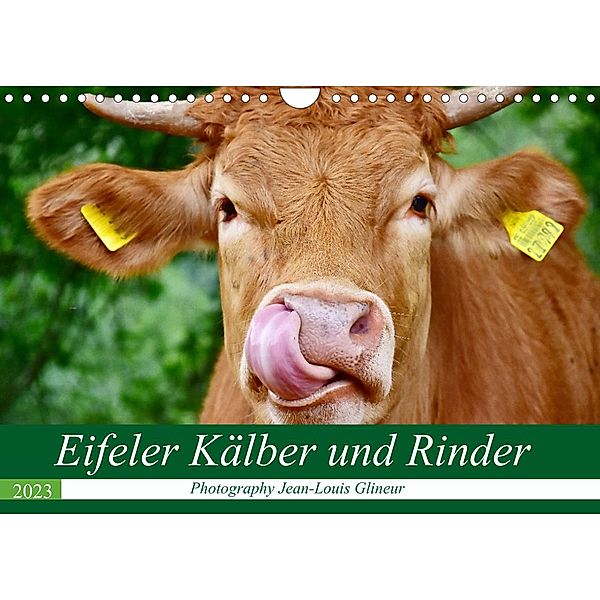 Eifeler Kälber und Rinder (Wandkalender 2023 DIN A4 quer), Jean-Louis Glineur