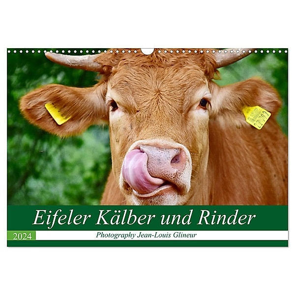 Eifeler Kälber und Rinder (Wandkalender 2024 DIN A3 quer), CALVENDO Monatskalender, Jean-Louis Glineur
