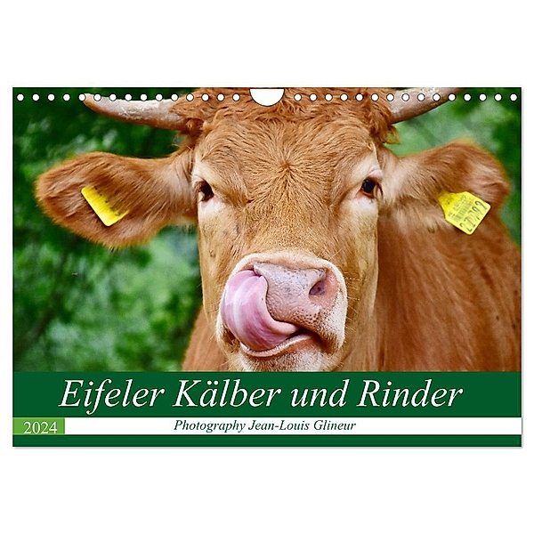 Eifeler Kälber und Rinder (Wandkalender 2024 DIN A4 quer), CALVENDO Monatskalender, Jean-Louis Glineur