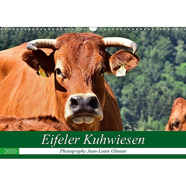 Eifeler Kuhwiesen (Wandkalender 2020 DIN A3 quer), Jean-Louis Glineur