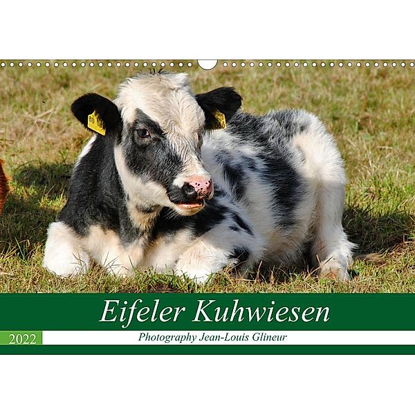 Eifeler Kuhwiesen (Wandkalender 2022 DIN A3 quer), Jean-Louis Glineur