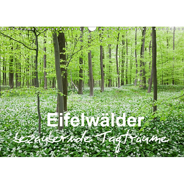 Eifelwälder - bezaubernde Tagträume (Wandkalender 2021 DIN A3 quer), Gaby Wojciech