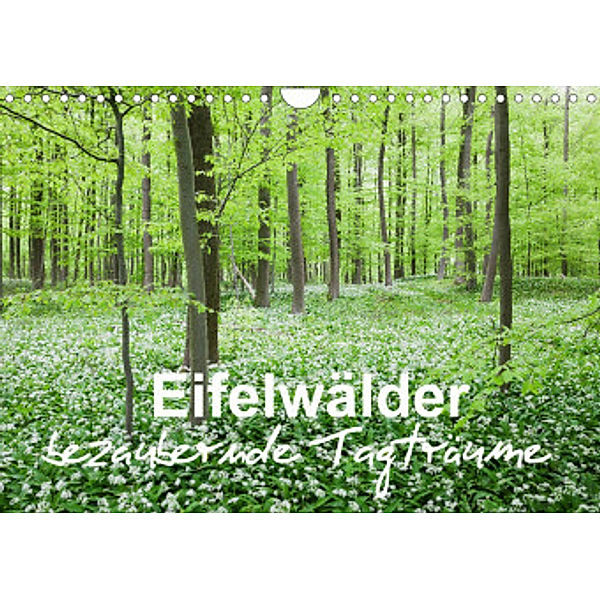Eifelwälder - bezaubernde Tagträume (Wandkalender 2022 DIN A4 quer), Gaby Wojciech