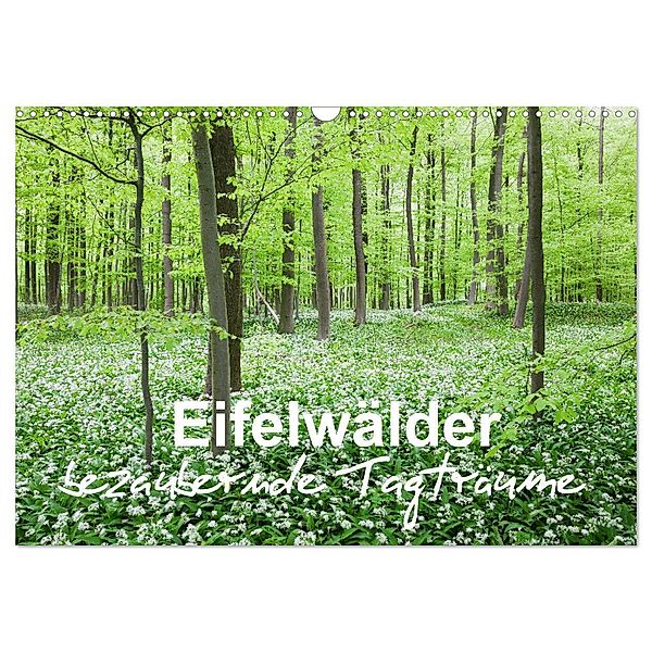 Eifelwälder - bezaubernde Tagträume (Wandkalender 2024 DIN A3 quer), CALVENDO Monatskalender, Gaby Wojciech