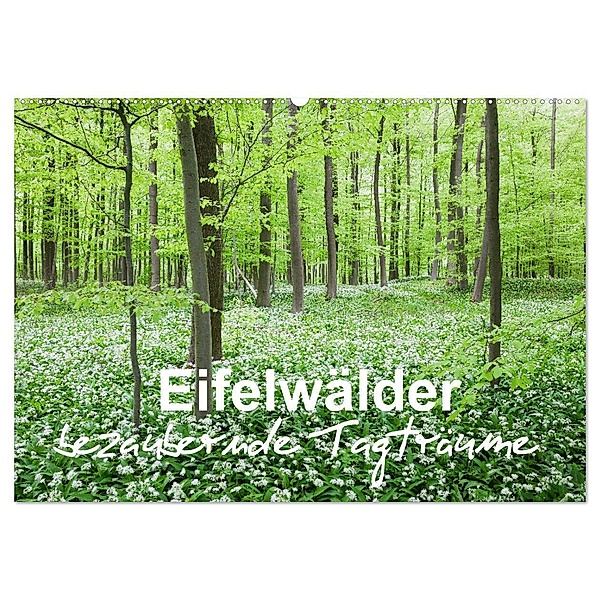 Eifelwälder - bezaubernde Tagträume (Wandkalender 2024 DIN A2 quer), CALVENDO Monatskalender, Gaby Wojciech