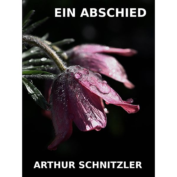 Ein Abschied, Arthur Schnitzler