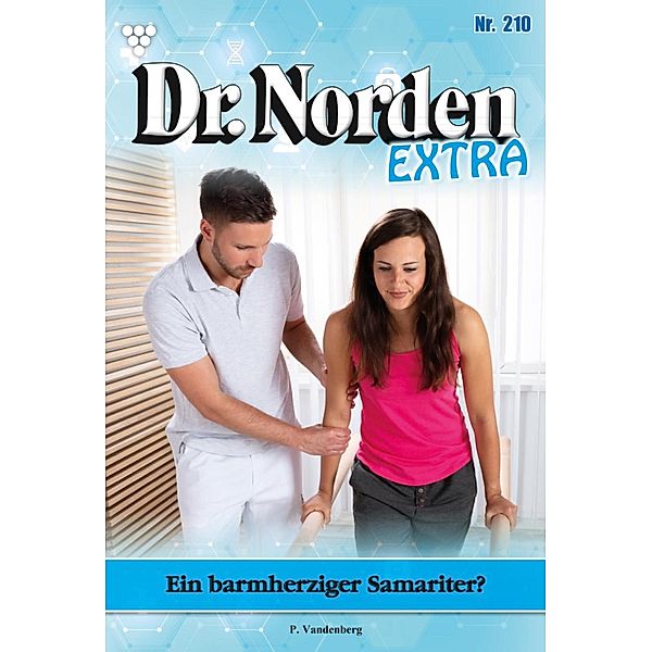 Ein barmherziger Samariter? / Dr. Norden Extra Bd.210, Patricia Vandenberg