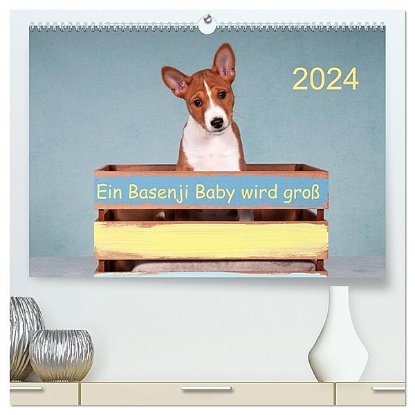 Ein Basenji Baby wird gross (hochwertiger Premium Wandkalender 2024 DIN A2 quer), Kunstdruck in Hochglanz, Angelika Joswig
