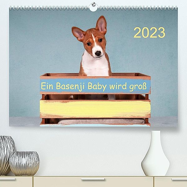 Ein Basenji Baby wird groß (Premium, hochwertiger DIN A2 Wandkalender 2023, Kunstdruck in Hochglanz), Angelika Joswig