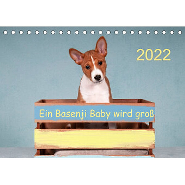 Ein Basenji Baby wird groß (Tischkalender 2022 DIN A5 quer), Angelika Joswig