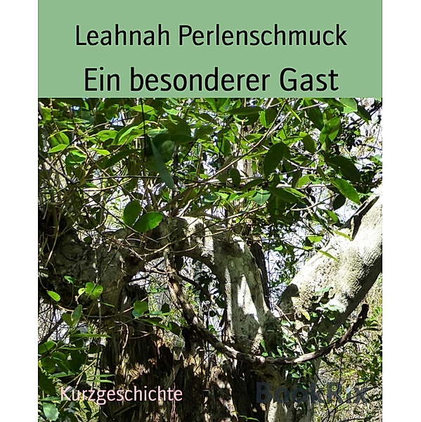 Ein besonderer Gast, Leahnah Perlenschmuck
