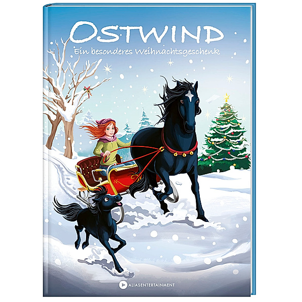 Ein besonderes Weihnachtsgeschenk / Ostwind für Erstleser Bd.15, Thilo
