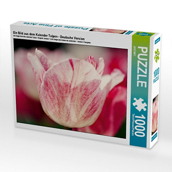 Ein Bild aus dem Kalender Tulpen - Deutsche Version (Puzzle), Justart