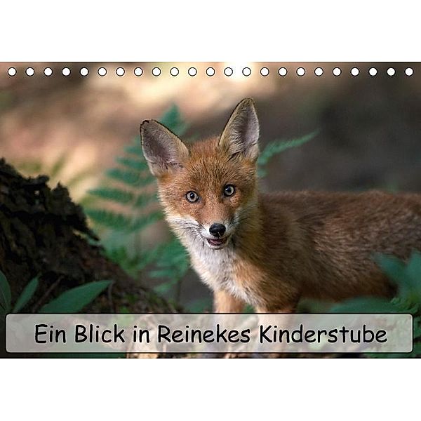 Ein Blick in Reinekes Kinderstube (Tischkalender 2017 DIN A5 quer), Mirko Fuchs