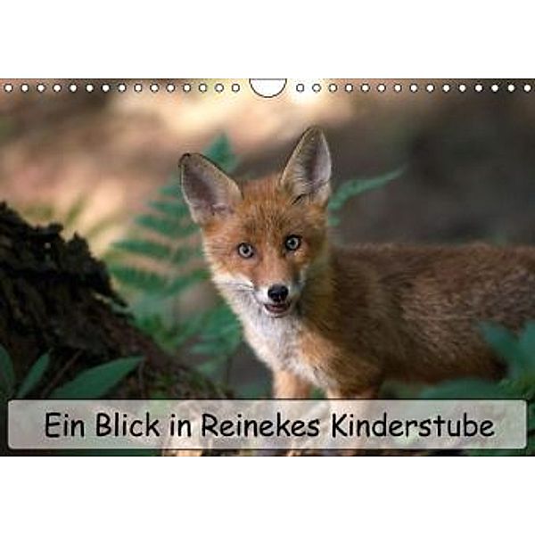 Ein Blick in Reinekes Kinderstube (Wandkalender 2016 DIN A4 quer), Mirko Fuchs