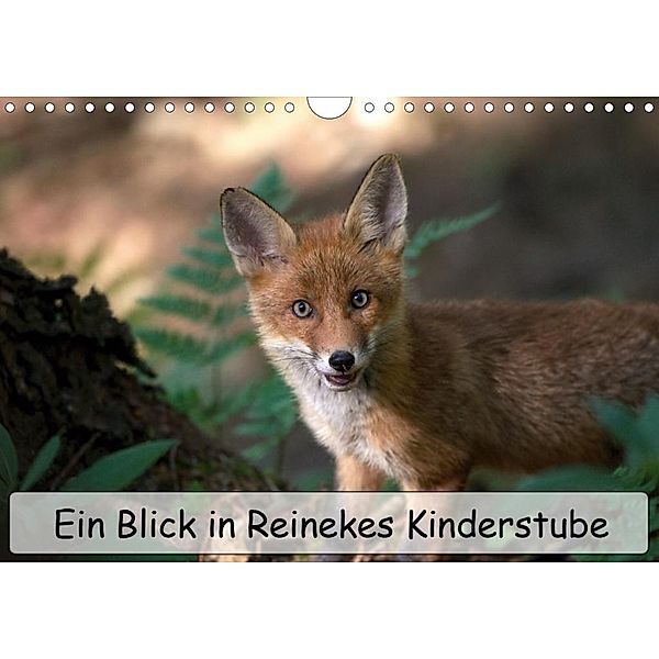 Ein Blick in Reinekes Kinderstube (Wandkalender 2020 DIN A4 quer), Mirko Fuchs