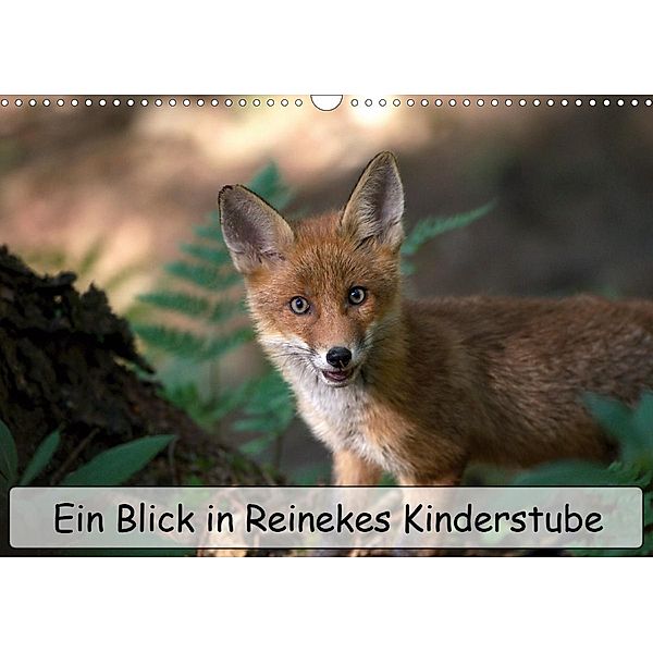 Ein Blick in Reinekes Kinderstube (Wandkalender 2021 DIN A3 quer), Mirko Fuchs