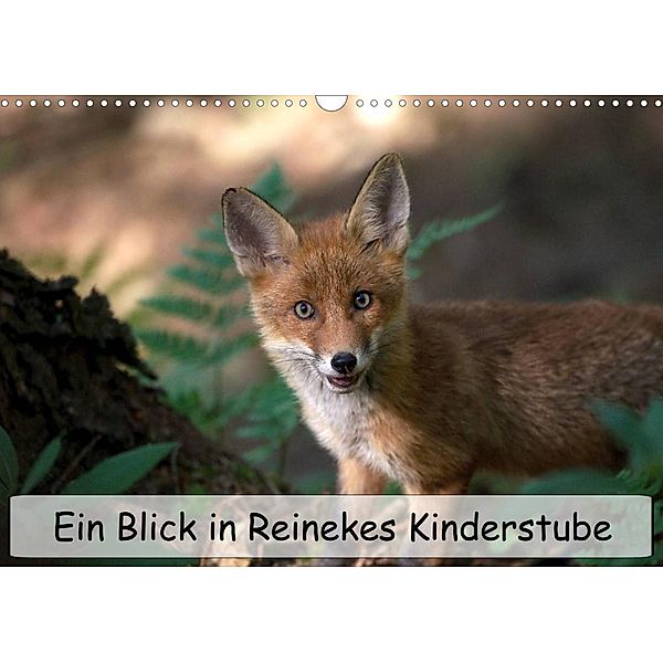 Ein Blick in Reinekes Kinderstube (Wandkalender 2023 DIN A3 quer), Mirko Fuchs