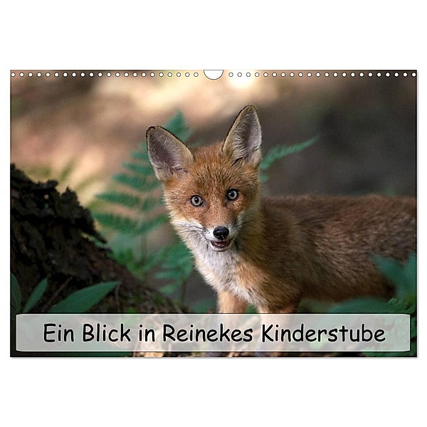 Ein Blick in Reinekes Kinderstube (Wandkalender 2024 DIN A3 quer), CALVENDO Monatskalender, Mirko Fuchs