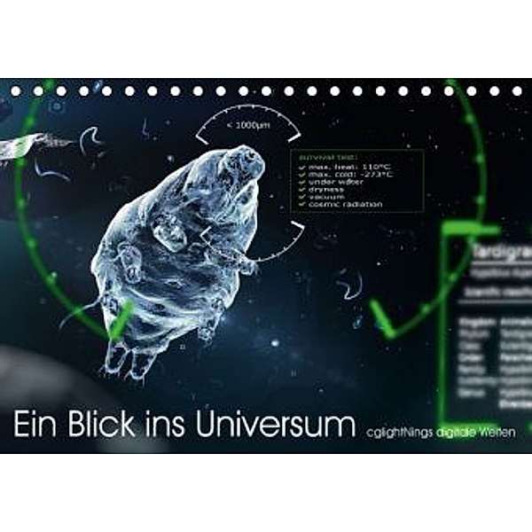 Ein Blick ins Universum - cglightNings digitale Welten (Tischkalender 2016 DIN A5 quer), Stefanie Winkler