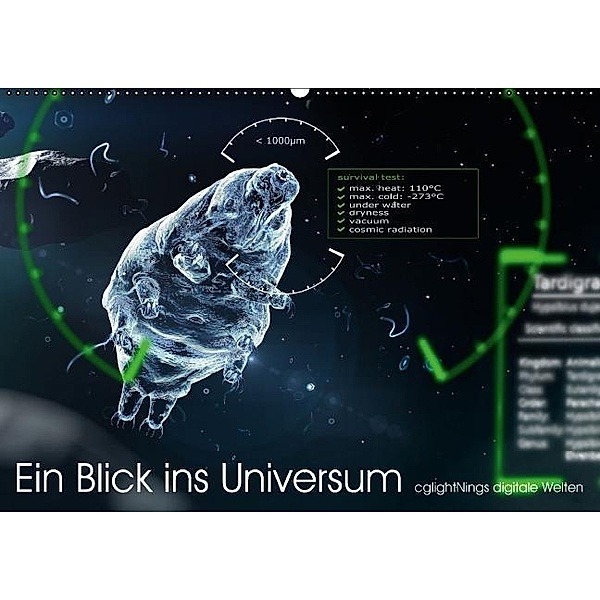 Ein Blick ins Universum - cglightNings digitale Welten (Wandkalender 2017 DIN A2 quer), Stefanie Winkler