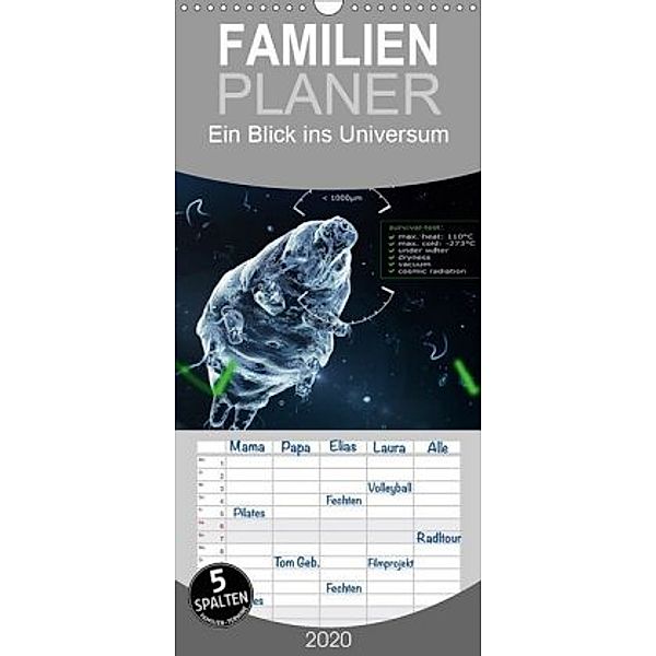 Ein Blick ins Universum - cglightNings digitale Welten - Familienplaner hoch (Wandkalender 2020 , 21 cm x 45 cm, hoch), Stefanie Winkler