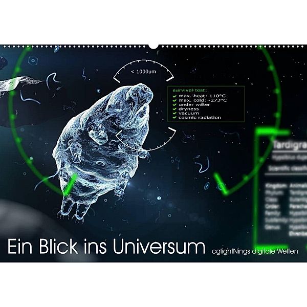 Ein Blick ins Universum - cglightNings digitale Welten (Wandkalender 2023 DIN A2 quer), Stefanie Winkler - cglightNing