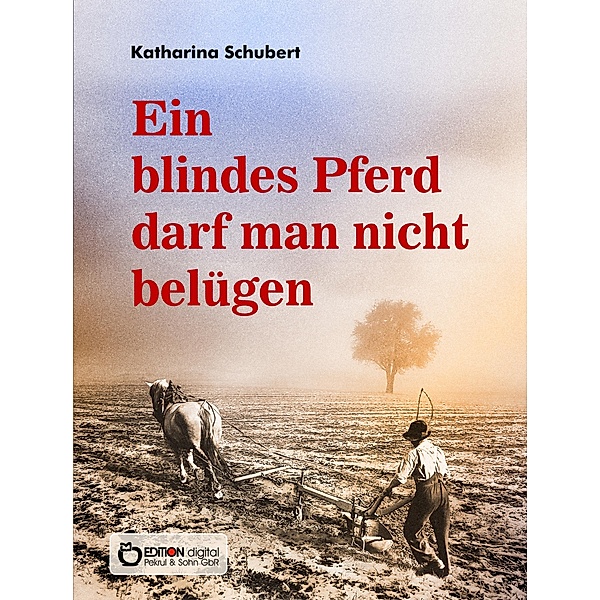 Ein blindes Pferd darf man nicht belügen, Katharina Schubert