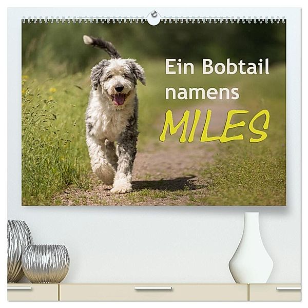 Ein Bobtail namens Miles (hochwertiger Premium Wandkalender 2024 DIN A2 quer), Kunstdruck in Hochglanz, Christiane calmbacher