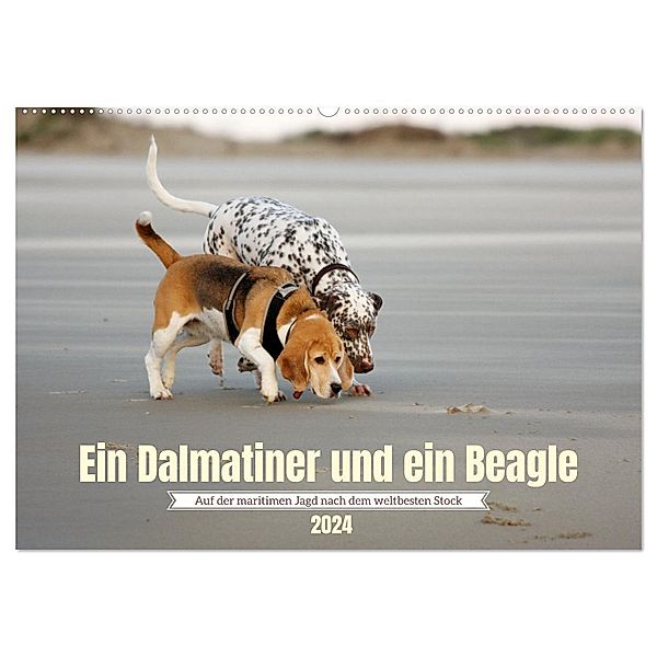 Ein Dalmatiner und ein Beagle - Auf der maritimen Jagd nach dem weltbesten Stock (Wandkalender 2024 DIN A2 quer), CALVENDO Monatskalender, Daniela Tapper