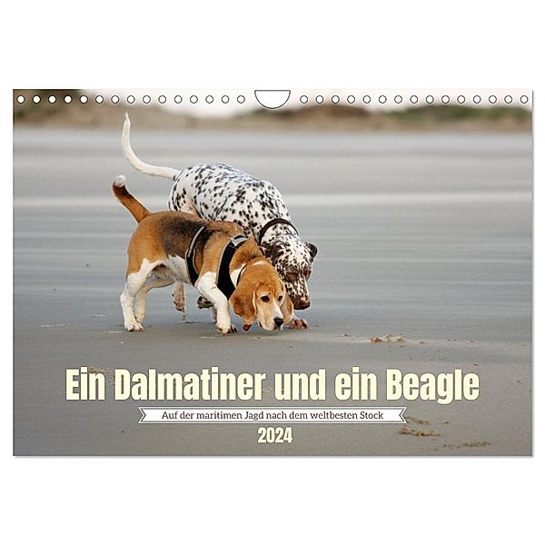 Ein Dalmatiner und ein Beagle - Auf der maritimen Jagd nach dem weltbesten Stock (Wandkalender 2024 DIN A4 quer), CALVENDO Monatskalender, Daniela Tapper