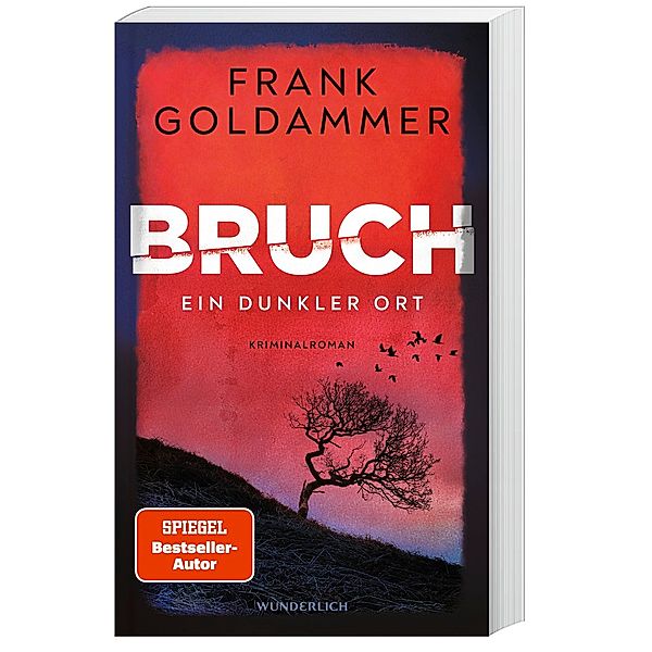 Ein dunkler Ort / Felix Bruch Bd.1, Frank Goldammer