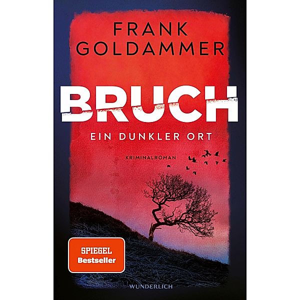 Ein dunkler Ort / Felix Bruch Bd.1, Frank Goldammer