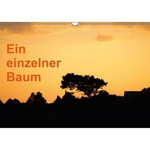 Ein einzelner Baum (Wandkalender 2015 DIN A3 quer), Frauke Gimpel