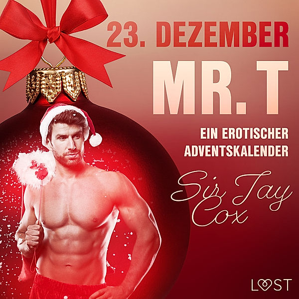 Ein erotischer Adventskalender - 23 - 23. Dezember: Mr. T – ein erotischer Adventskalender, Sir Jay Cox