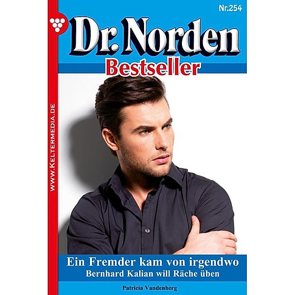 Ein Fremder kam von irgendwo / Dr. Norden Bestseller Bd.254, Patricia Vandenberg