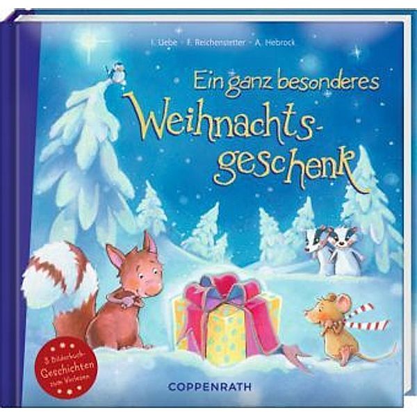 Ein ganz besonderes Weihnachtsgeschenk, Heidemarie Brosche, Ingrid Uebe, Friederun Reichenstetter